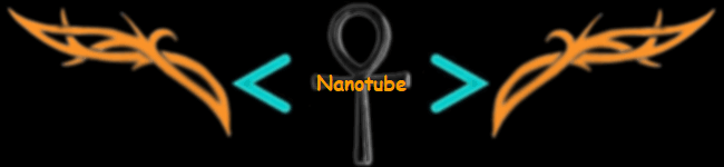 Nanotube